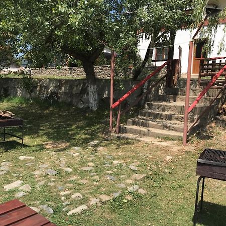 Pensiunea Trei Ponei Corbeni Exteriér fotografie
