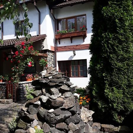 Pensiunea Trei Ponei Corbeni Exteriér fotografie