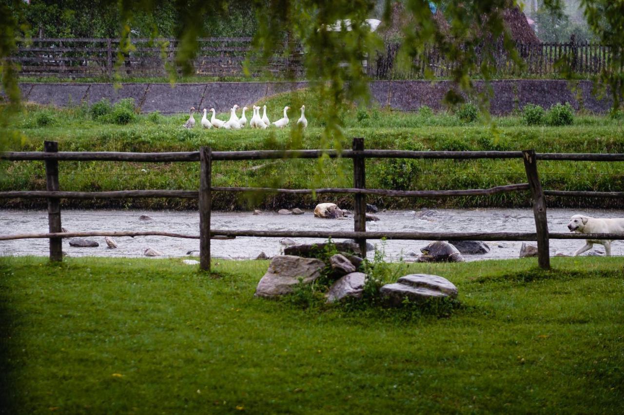 Pensiunea Trei Ponei Corbeni Exteriér fotografie