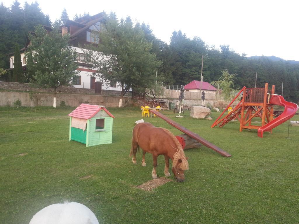 Pensiunea Trei Ponei Corbeni Exteriér fotografie