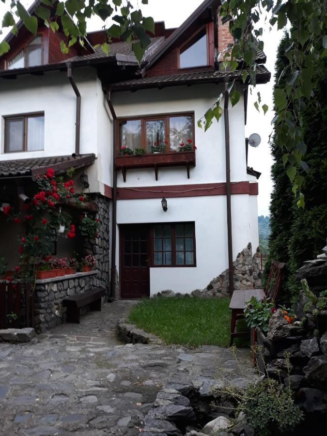 Pensiunea Trei Ponei Corbeni Exteriér fotografie